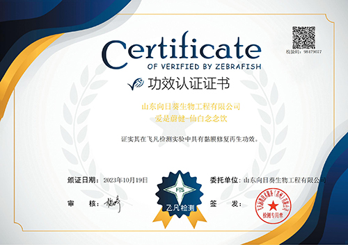 仙白念念饮证书