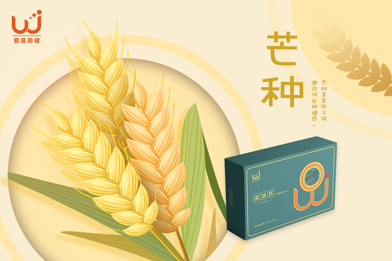芒种 | 时雨及芒种，四野皆插秧