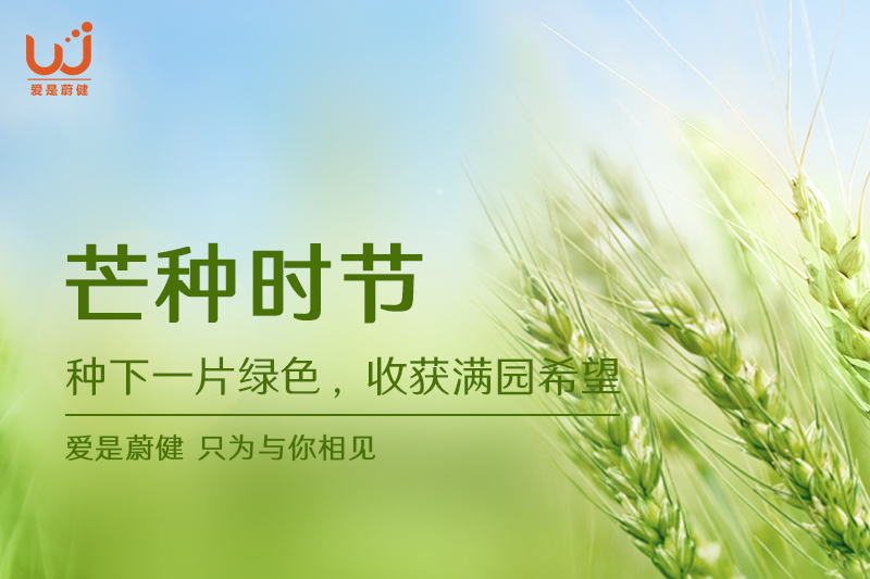 2-11封面3.jpg