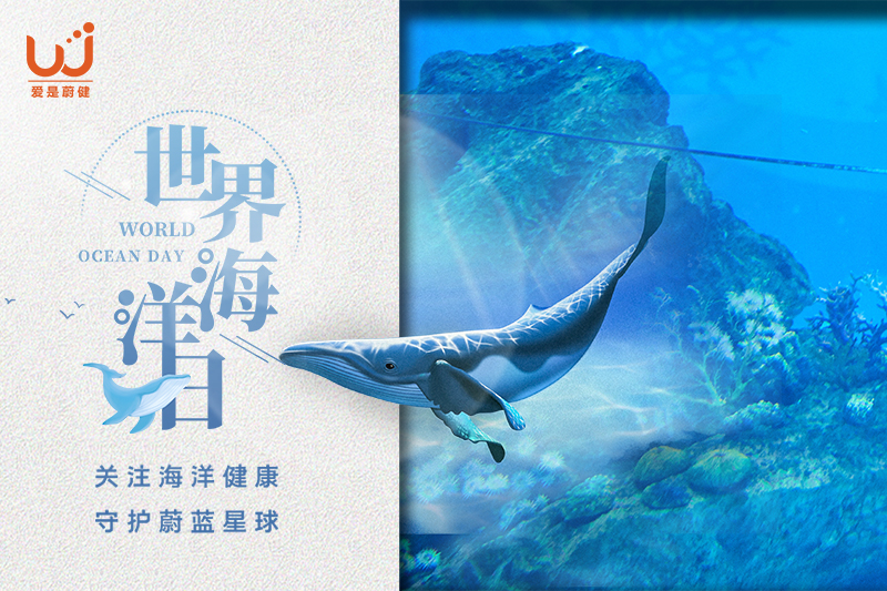 世界海洋日|请听见大海的心跳