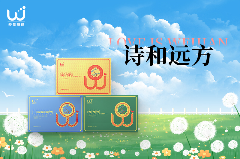 借我一生深情相伴