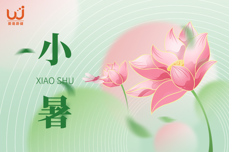 今日小暑丨风动荷生香，但惜夏日长