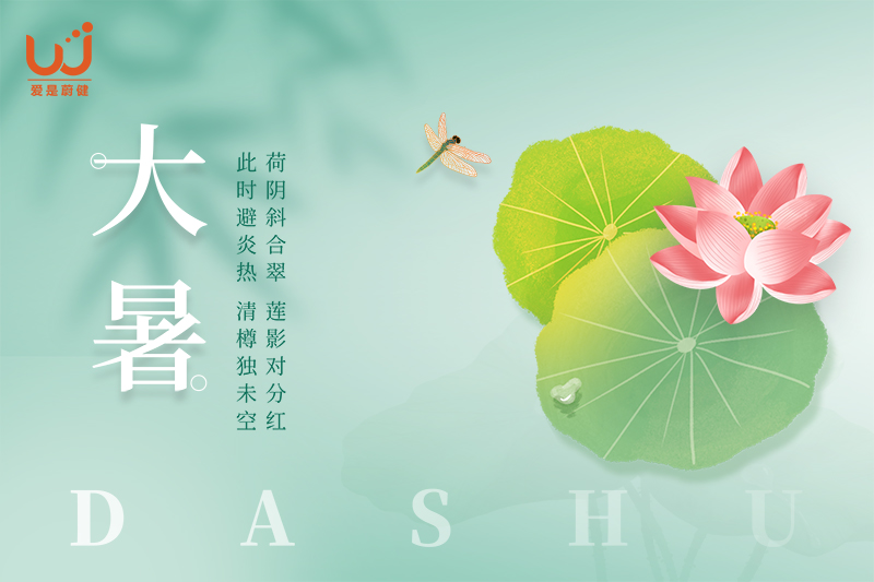 今日大暑——炽热中的温暖守护