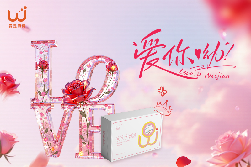 温暖熟悉的陪伴