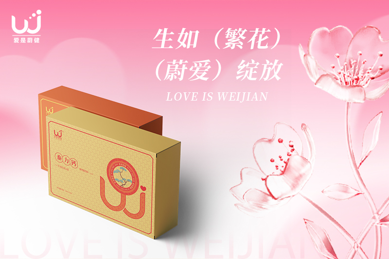 岁月流转中的爱