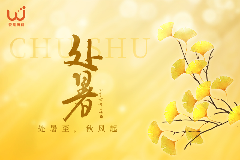 2-21封面17.jpg