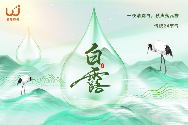 白露3.jpg